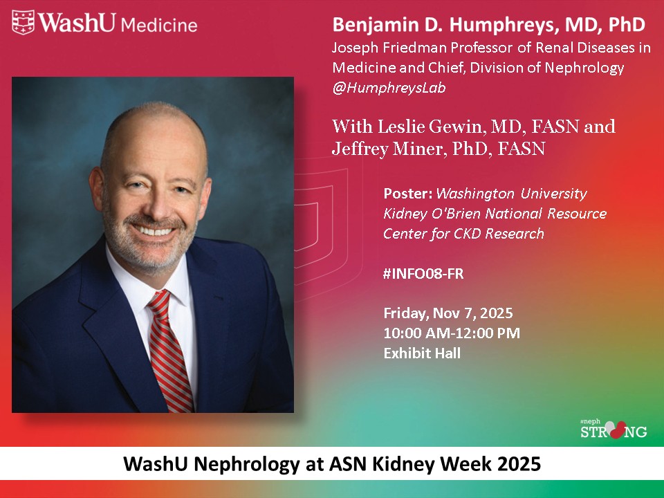 WashU Nephrology tweet media