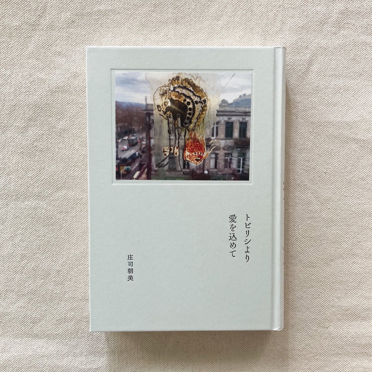 透明な窓に描かれた絵はその向こうの風景と重なり、世界の様相を現しながら神秘的なビジョンを浮かび上がらせる。帝国の支配を受け、重く複雑な歴史を抱えるコーカサス地方の国ジョージア。揺れ動く情勢のなかで、自身の内部へと繰り返し降り立ち描いた、日常の断片と世界の在りようが編まれています。