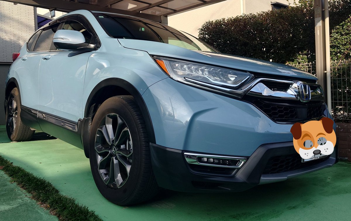 朔桜、遡桜、咲桜@ on X