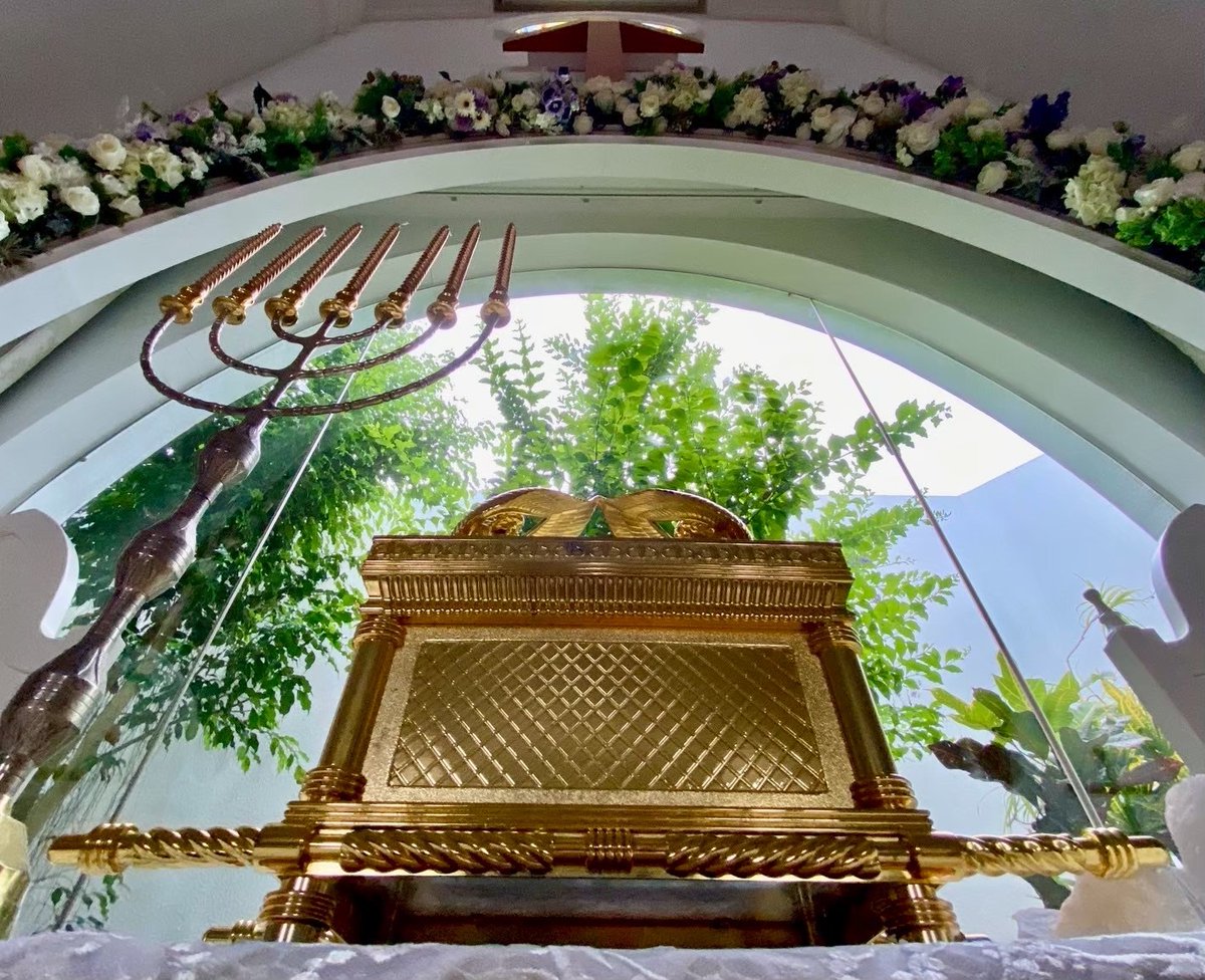 YES‼︎!!様 グッチ シフト〕ウィメンズ スニーカー ・ホワイト レザー | GUCCI公式