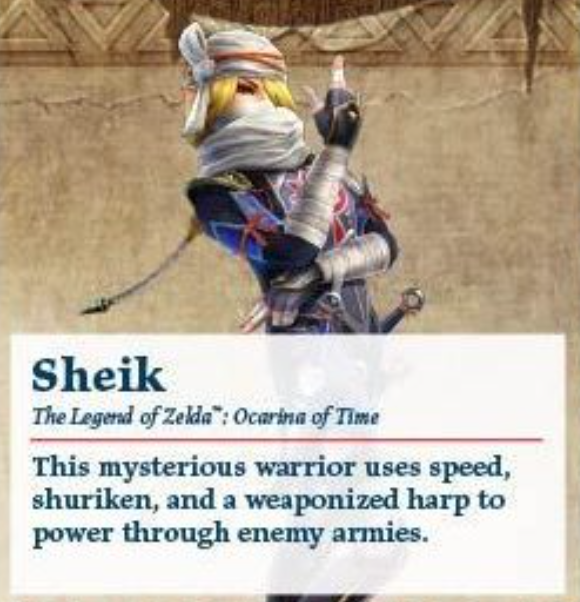 EliteXit's tweet photo. @umbranfan @Sage68146998 @Funky_Feet_115 @oshirimarsh He's wearing Sheik's clothes, not the other way around. This is her updated outfit. Real ones already know who this mysterious ninja is. *drumroll*

It's Zelda. What the fuck is wrong with you people? https://t.co/kxYqcRq0u2