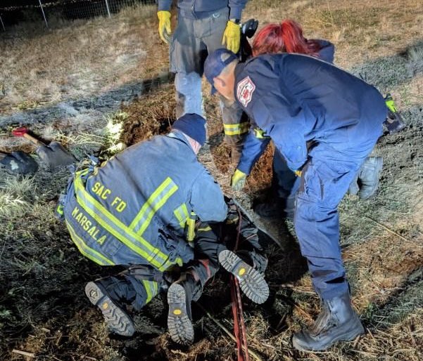 This evening, shortly after 8:30pm, SACFD responded to a citizen assist call that was upgraded to a technical rescue. The incident involved a resident's dog that had chased a rabbit into an 18 inch culvert. Technical Rescue team members assembled on scene to perform a confined