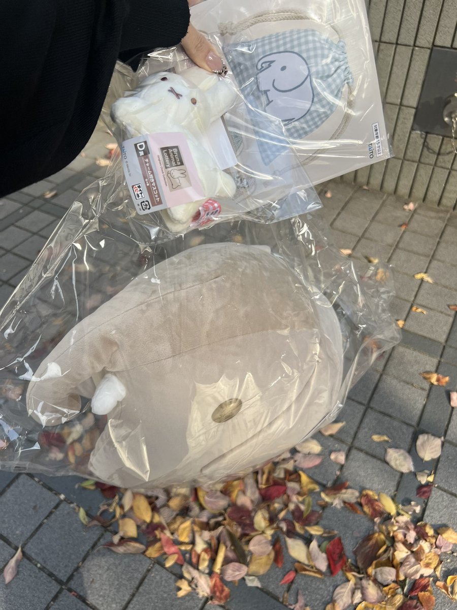 pyokopyoko3pyok's tweet photo. 仕事の休憩中に軽い気持ちで引いたらAで電車で抱えて家まで帰るの罰ゲームで草 https://t.co/WzQoHGK4JL