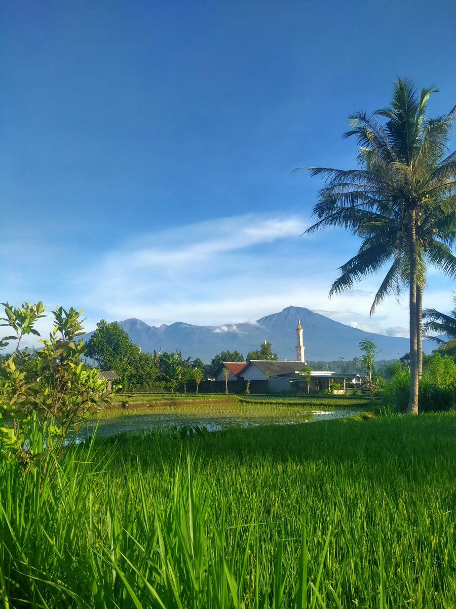 capqbara's tweet image. mowning view, hari terakhir didesa ini✨🥹