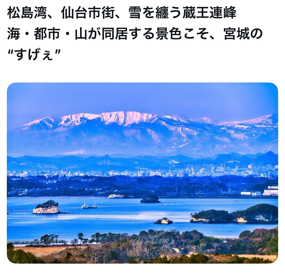 bozu_108's tweet photo. 宮城県ってすげぇ、、と思った瞬間選手権

最優秀賞、金賞、入賞、入賞 https://t.co/MgBLgrnWUo
