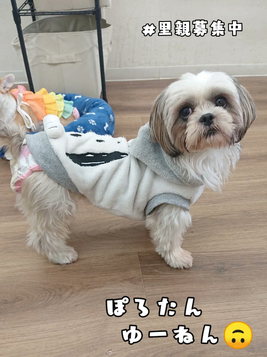 E9%9B%B0%E5%9B%B2%E6%B0%97%E3%81%AE%E6%8C%81%E3%81%A1%E4%B8%BB