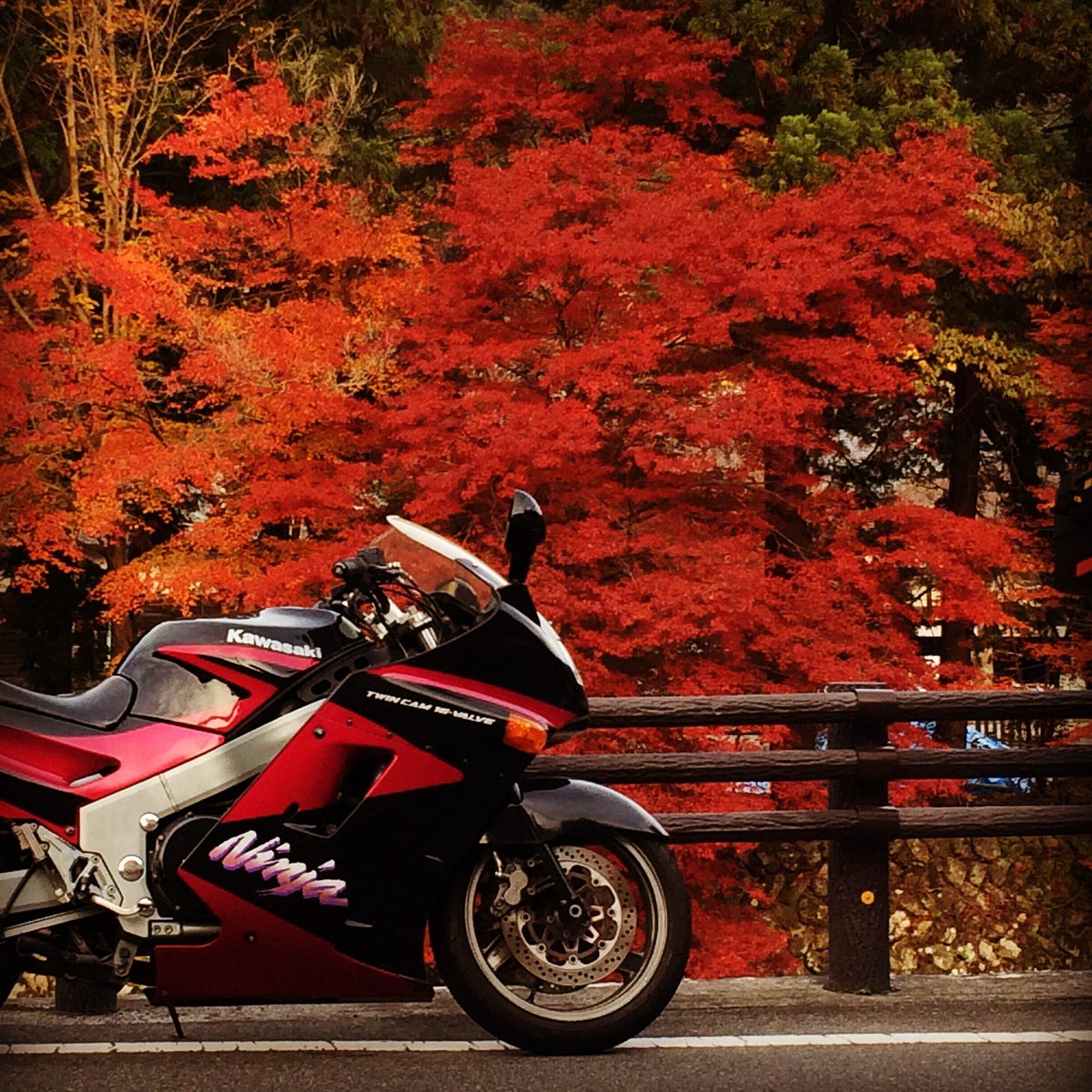 11/30-12/1 ありぽん様 zx11 - Search / X