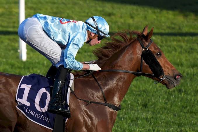 He is back! 🔥

Tomorrow is an exciting day for the team as our stable star KING OF ROSEAU returns to his favoured Flemington straight in the Listed Fisher Stakes for <a href="/SnowdenRacing1/">Snowden Racing</a> (race 3 #3) 👑

Best of luck to their owners 🙌