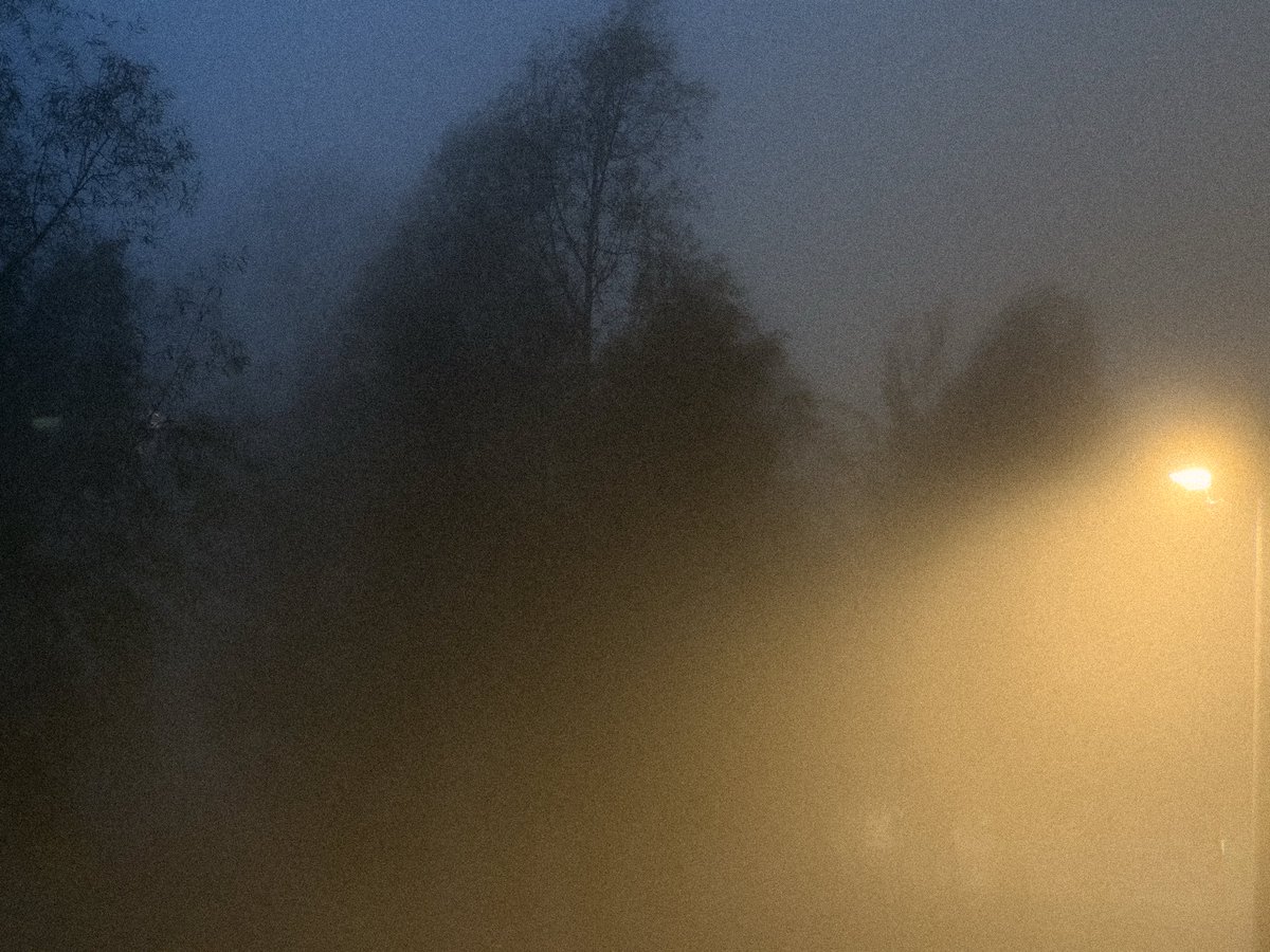 Geil, Nebel.