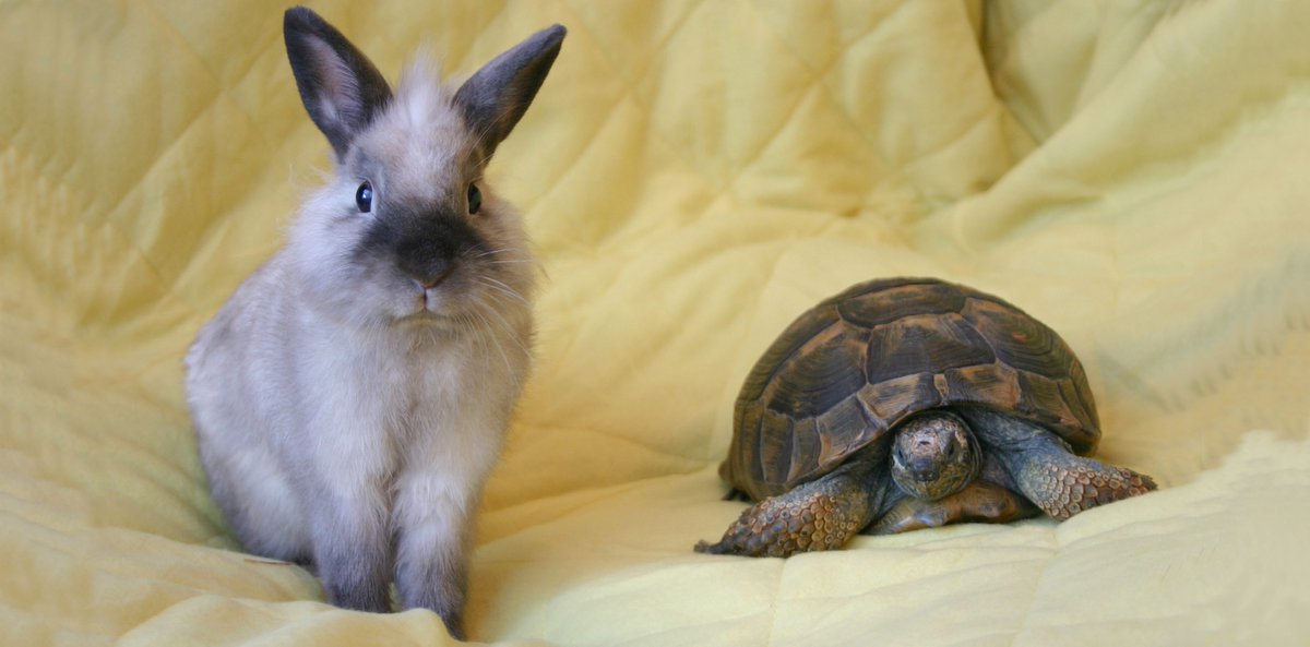 healthservicesdaily tweet media