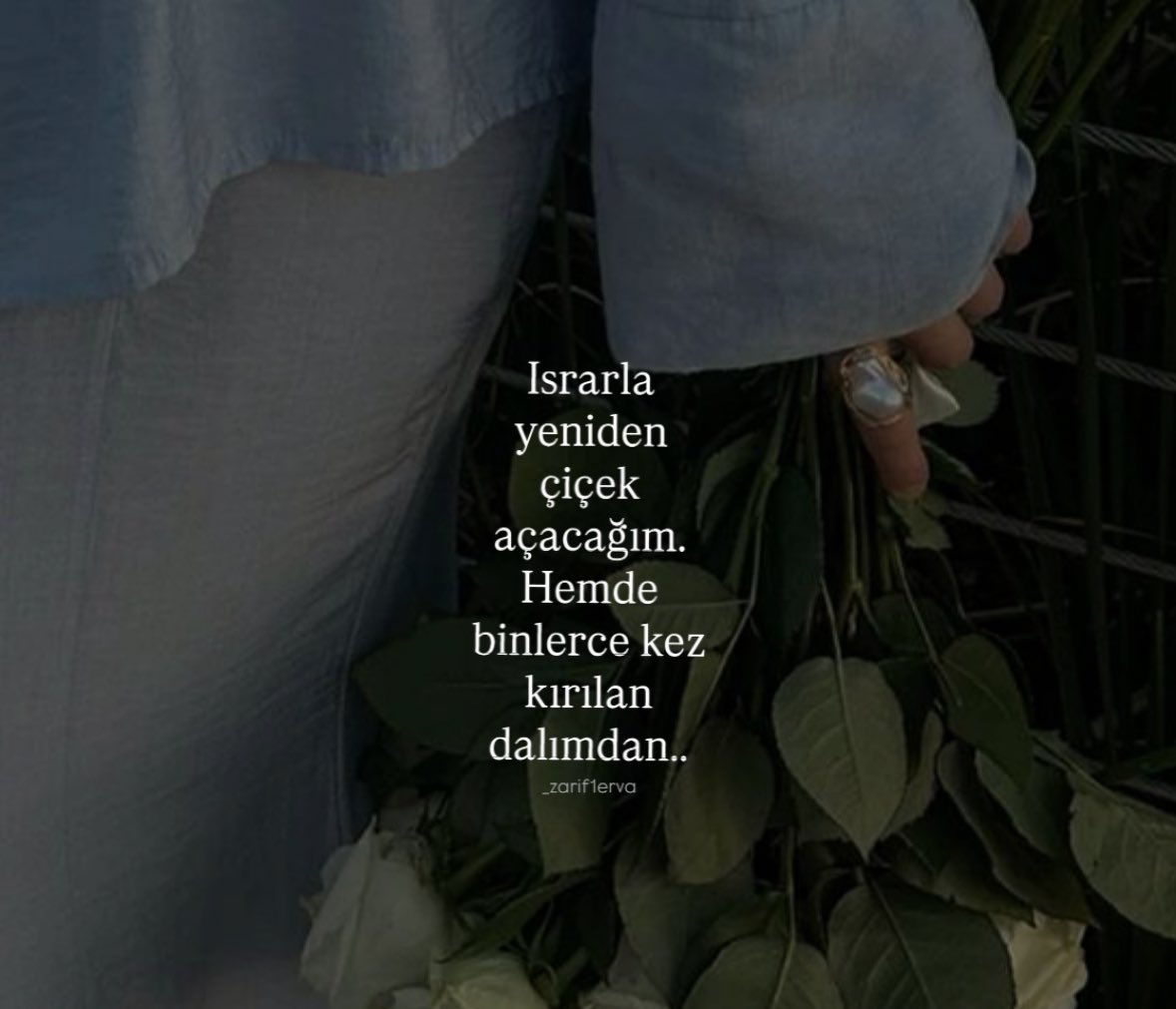 Kitap Kurdu 🐛 (@sivrikalem34) on Twitter photo 