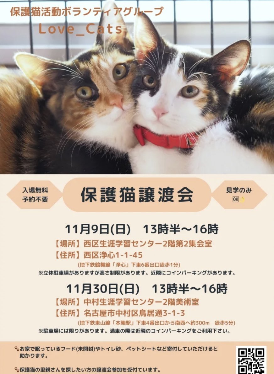 とらぞー (@tora_mo) / Posts / X