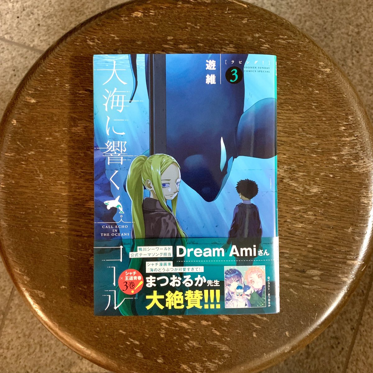 真作】F6 千日海【ふたりをつなぐ海と月】 gallery購入品 表裏サイン有