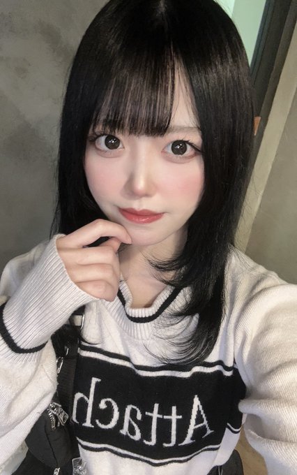 アニランドのツイート