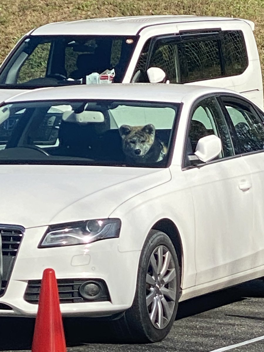 やべぇ風邪引いたかも！
自己管理不足情けない‥