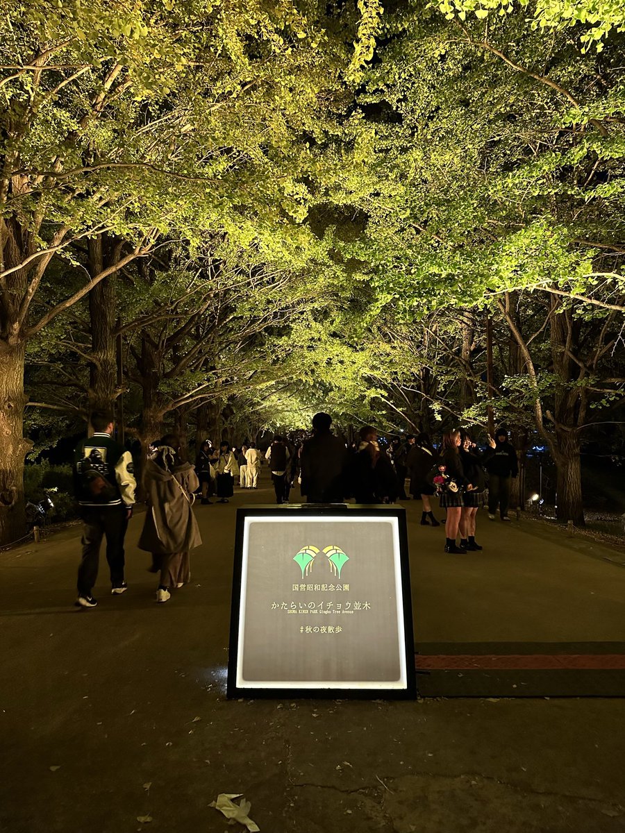 今年もまた行きたいなぁ
誰か一緒に行こ