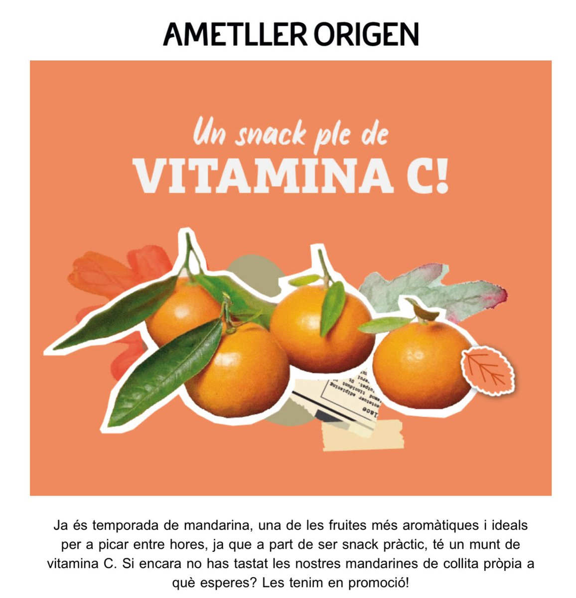 OscarBoada2's tweet image. @AmetllerOrigen Això de fer servir anglicismes quan tenim paraules perfectament equivalents en català, com per exemple Fer un mos,no ho acabo de veure.