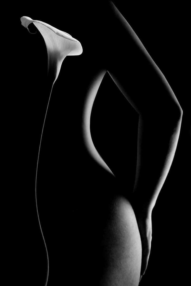 HelenSol1824713's tweet image. Black and white....🖤🤍