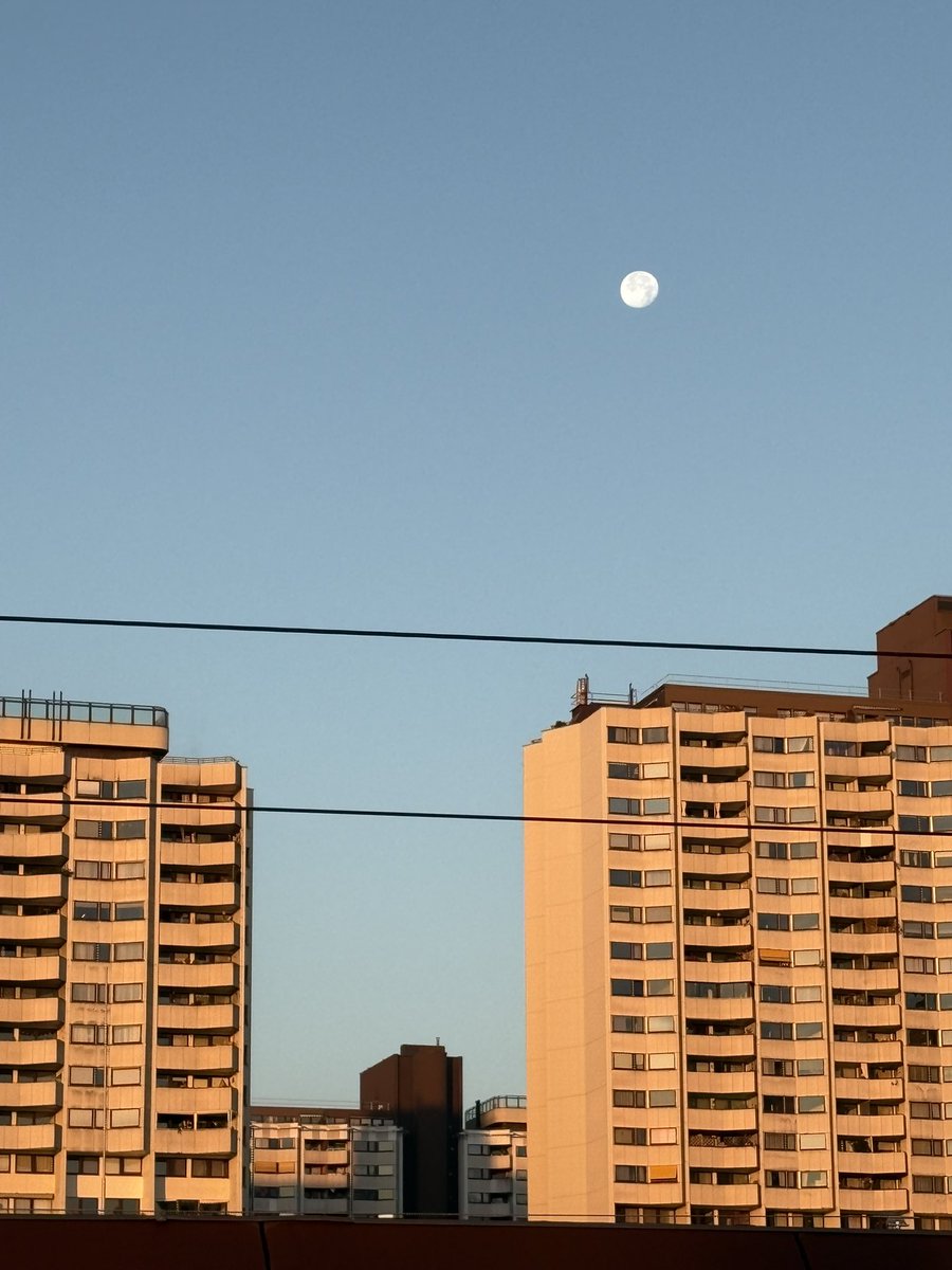 ArtoisLibra's tweet image. #workinglady #dressedforsuccess Ein leicht gequältes Freitagslächeln, besser brachte ich es heute nicht zustande, mea culpa.
Dabei sitzt alles, hab gut geschlafen, mein Sackerl mit den Essensbehältern fürs Büro, das ich gestern abend in der Bäckerei stehengelassen hatte,

1/🫠