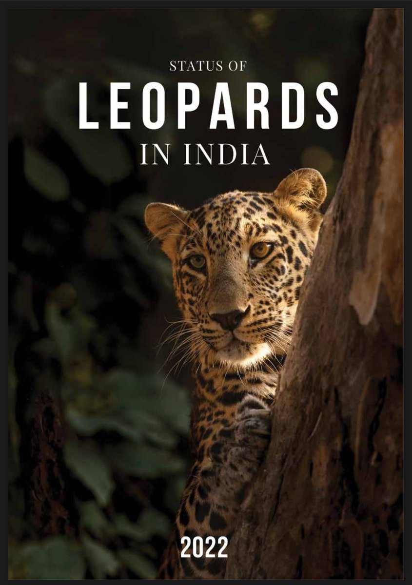 Shaunak Modi tweet media