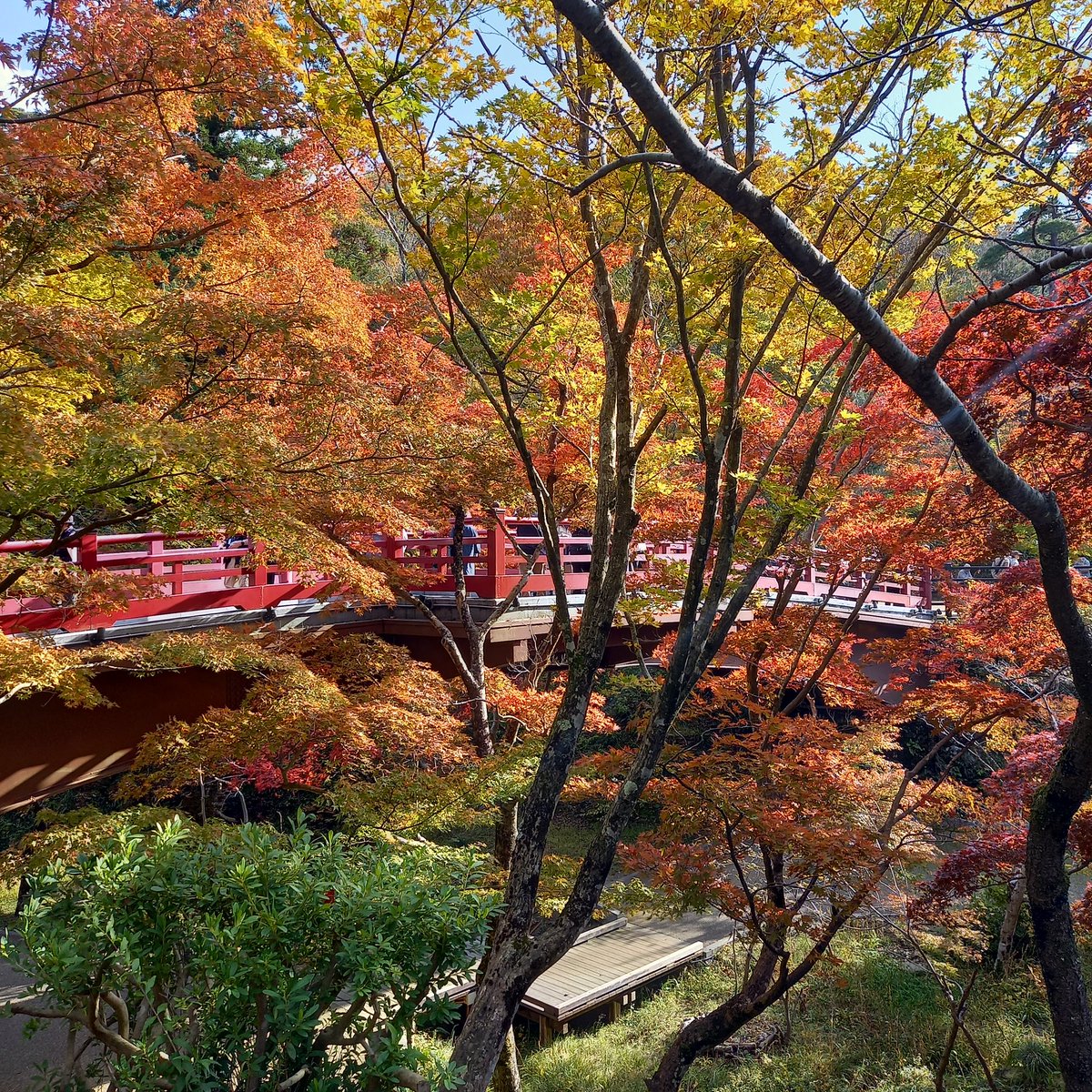 yuji_0820 tweet media