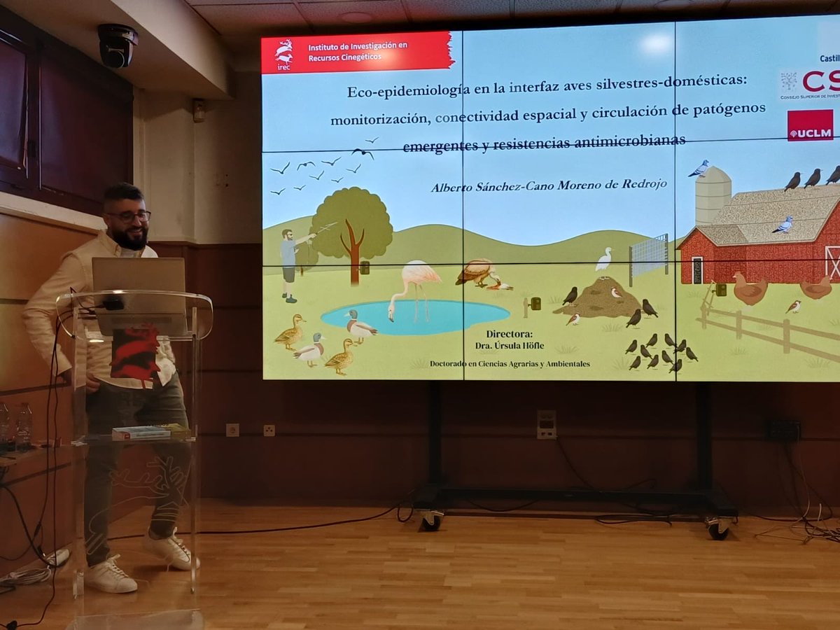 Beatriz Sánchez-Cano tweet media