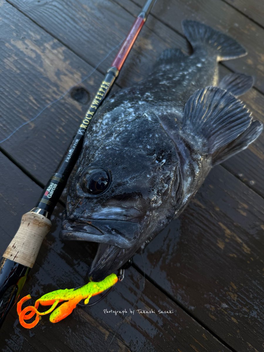 LUNKER'S ランカーズクシロ on X