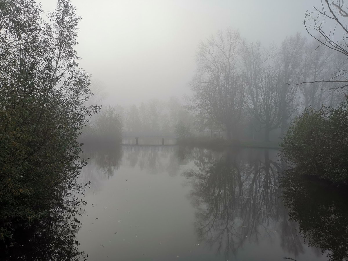 vrijezangvogel's tweet photo. 2/2
#Goedemorgen #mist #herfst #november_kiek #handwerken van een spin.
Fijne dag @DMaandag en alle anderen! https://t.co/QhDUmF6HjC