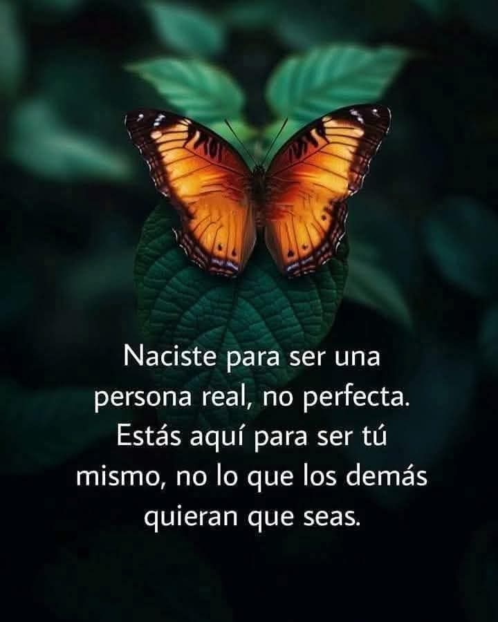 Fogata (@fogata13) on Twitter photo 