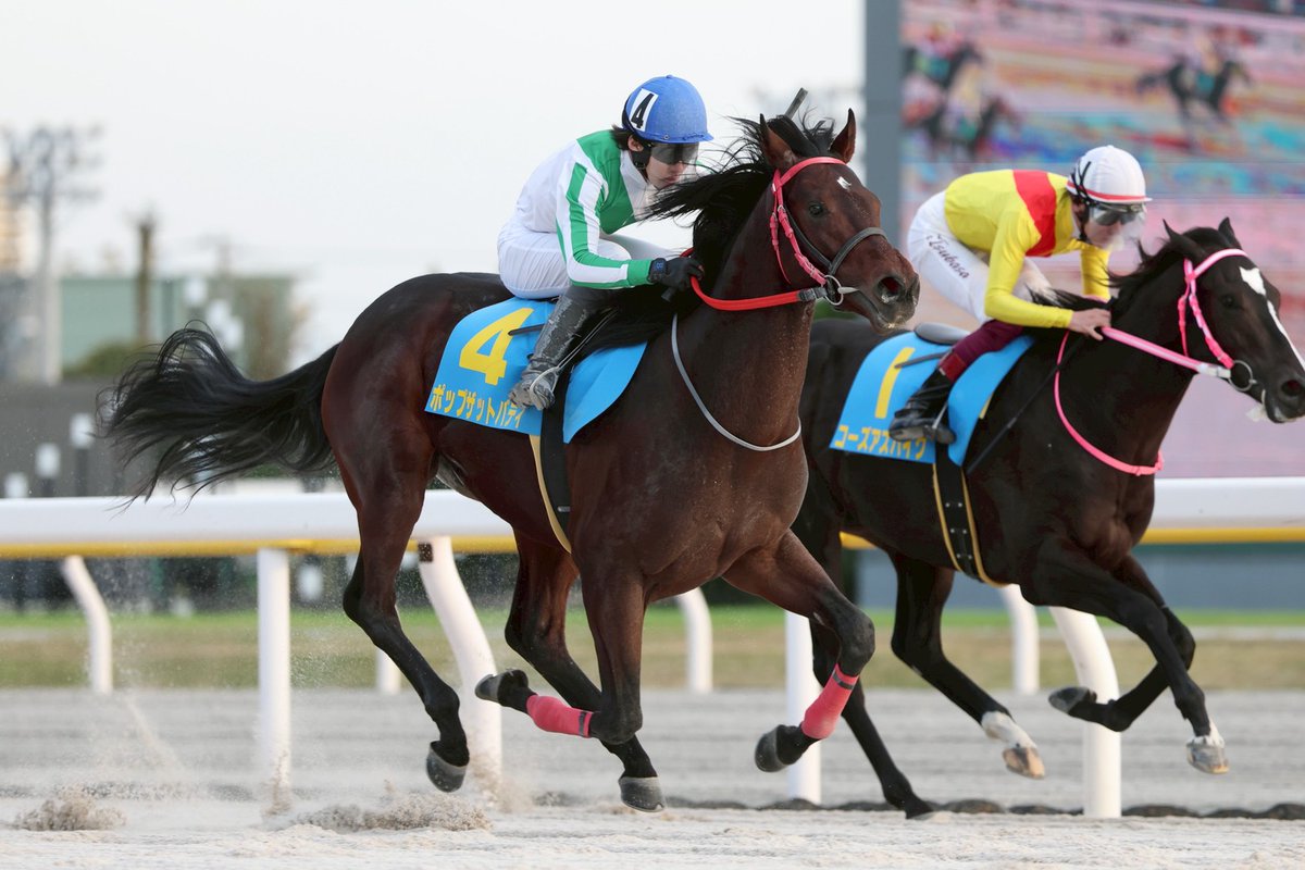 船橋3R(1500m)のユーカリデビュー2歳新馬結果

2番人気 #ポップザットバディ (牡、 #新井清重 厩舎)がゴール寸前で差し切りました👑

父 #レイデオロ 母 #ミーシャレヴュー 母の父 #アグネスタキオン

祖母 #ネームヴァリュー は船橋に所属し帝王賞、TCK女王盃を勝利をしたゆかりの血統です🏇