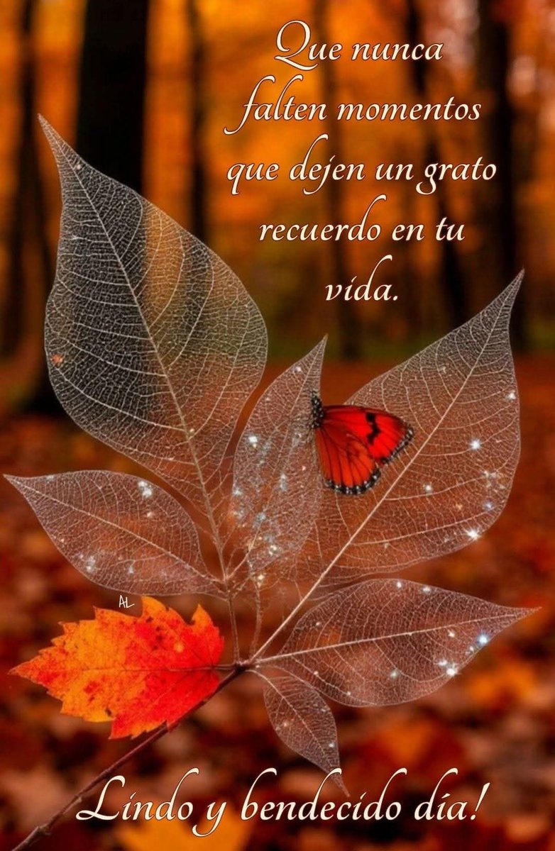 Fogata (@fogata13) on Twitter photo 