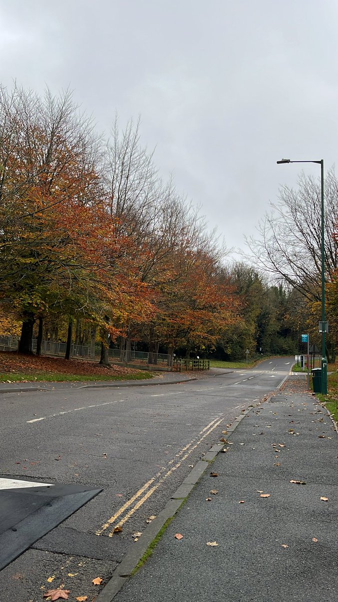 günaydın okula gidiyorum (sonbahar version)