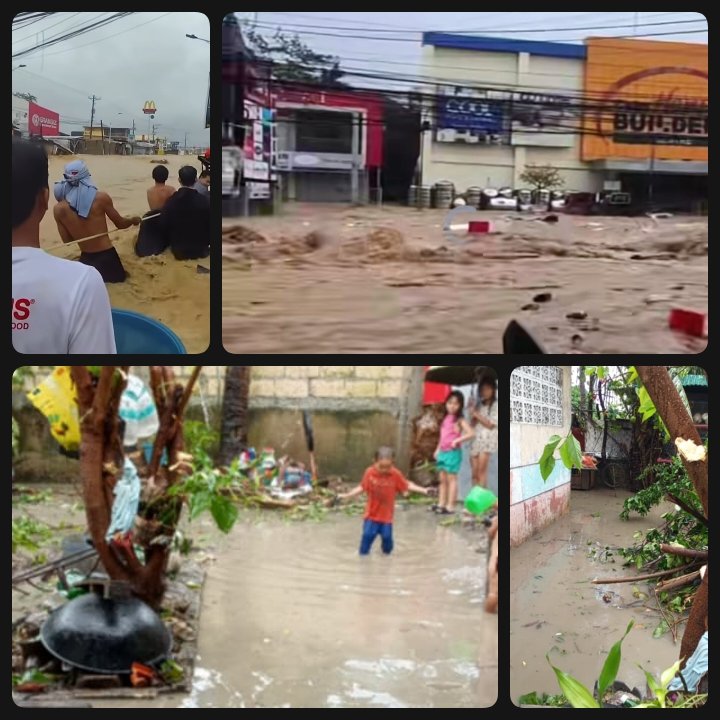 CryptoCritics tweet media