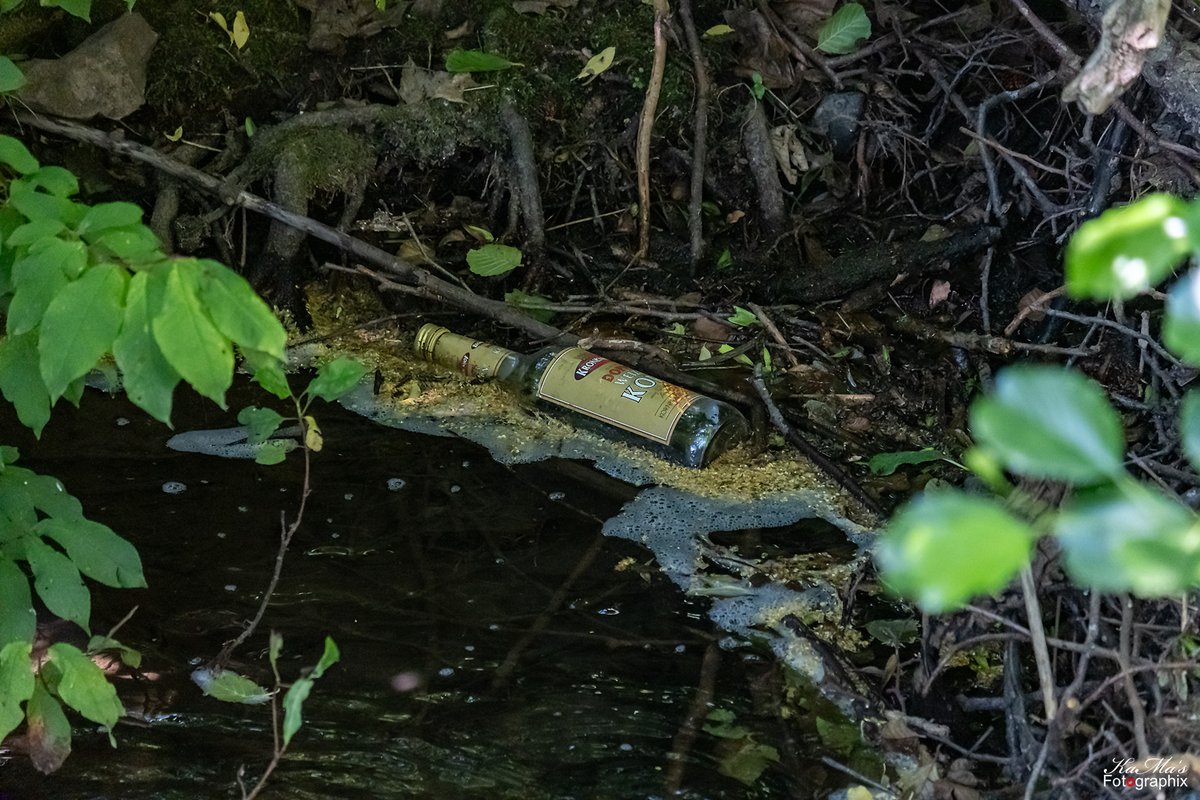 Guten Morgen ihr Lieben. Es gibt Leute, den müssten beide Hände abfallen 😡 Wünsche euch einen schönen Freitag 🥰
#natur #nature #bottle #river #water #naturfotografie #goodmorning #gutenmorgen #naturephotography #naturephoto #naturfoto #outdoors #fujifilmxt5 #thüringenfotografie