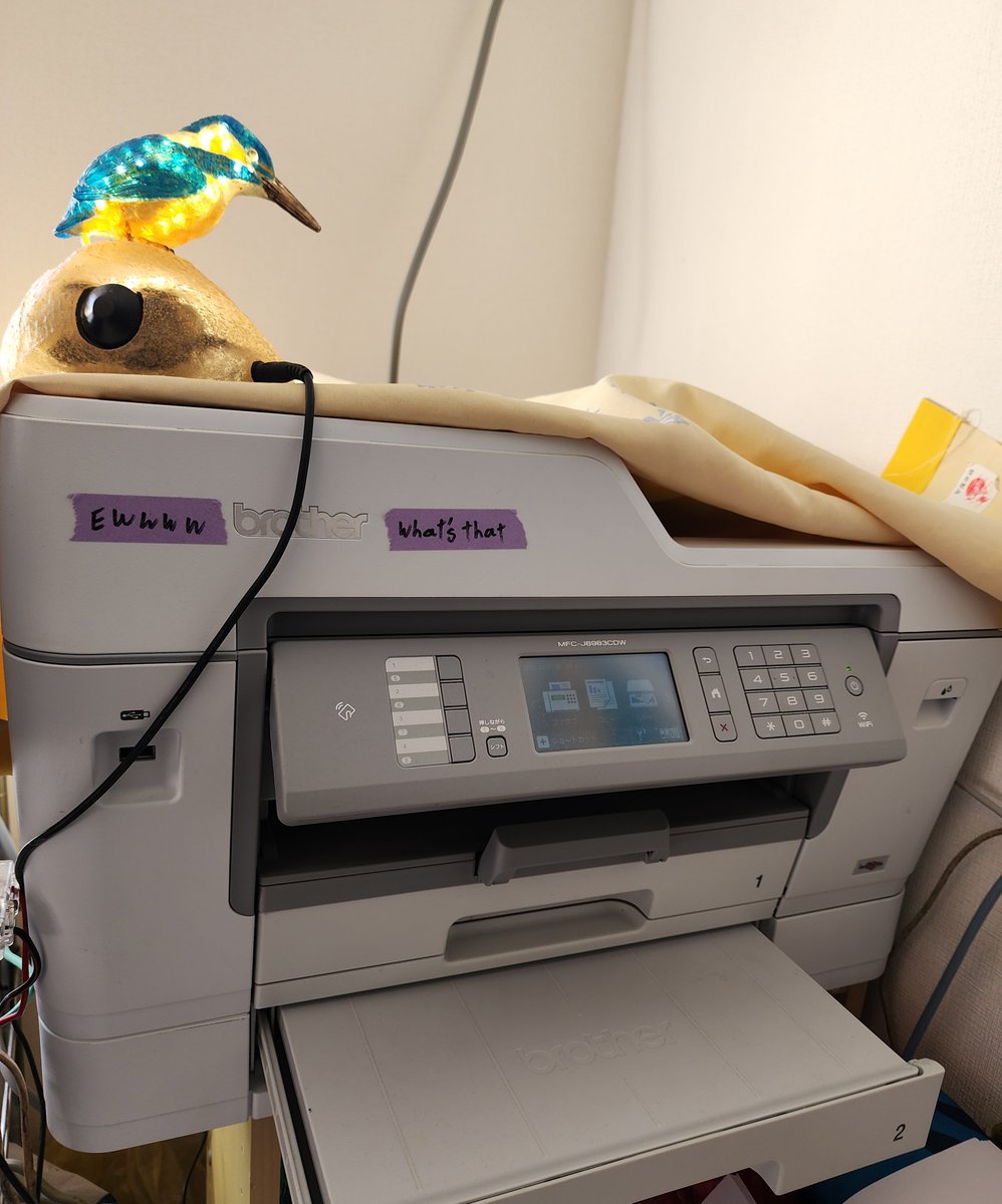 PARROT221985's tweet image. そして月に1度のメンテナンスです。
私のかわいいbrotherちゃん。
私はプリンターのメンテナンスの時は基本的に精製水を使いますが果たしてそれが機械にとって良いのか悪いのかは知りません。(家庭用での話)
印刷所とかは絶対精製水でのメンテナンスなはずです。
#プリンター #brother #Printer…