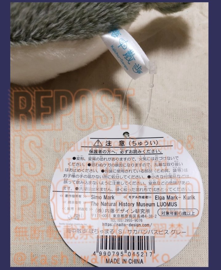 サカバンバスピスさんをさっそくお迎えしてきました🥳✨
クッキーもとても可愛いです。食べるのがもったいない。
カシパンさんと目が合ってしまったので連れて帰りました。可愛い。店内をウロウロするの楽しかったです🥰
レジ横の棚の上の方にタビビトノキがあってときめきました✨