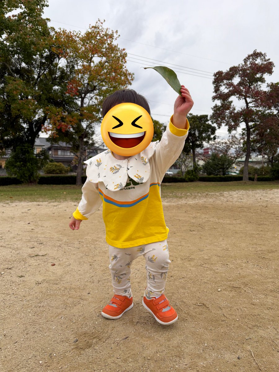 りんこ (@iam_rinko) / Posts / X