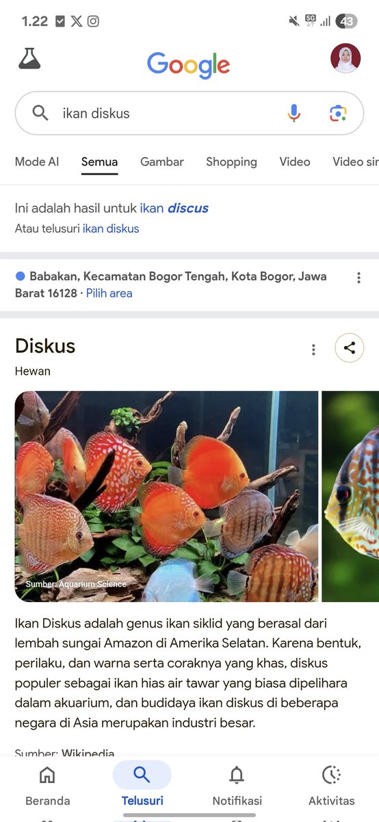 studyjurr's tweet image. ikan setia katanya