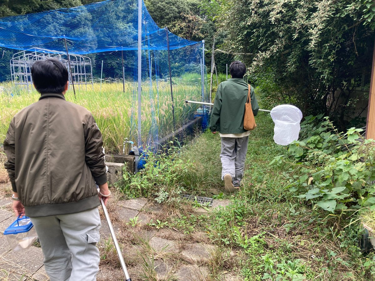 NU_GS_Science's tweet image. ー大学の日常ー

#アキアカネ #リスアカネ

すこし前の、#秋 を感じさせる写真。
研究用の #トンボ さがし。

そういわれれば最近、#トンボ をあまり見かけなくなりました。
気づけば #冬 が近づいています。

#名大 #理学
Photo by Team Kamikouchi