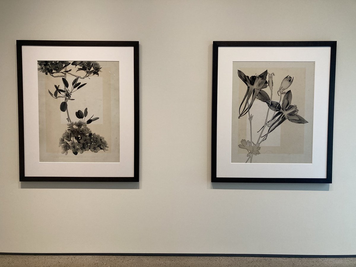 糸蜻蛉 (@itotonbo01) / Posts / X