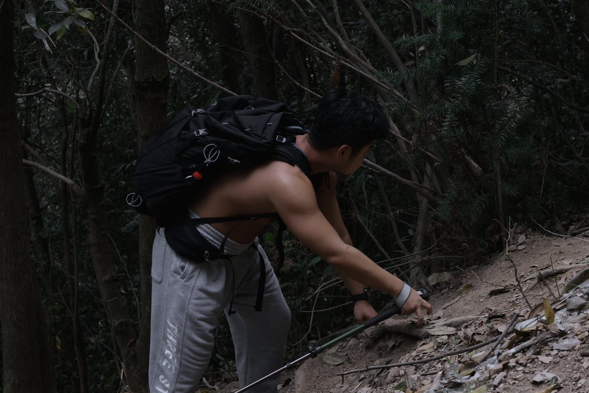 Too Lie (@lie_too17620) on Twitter photo 