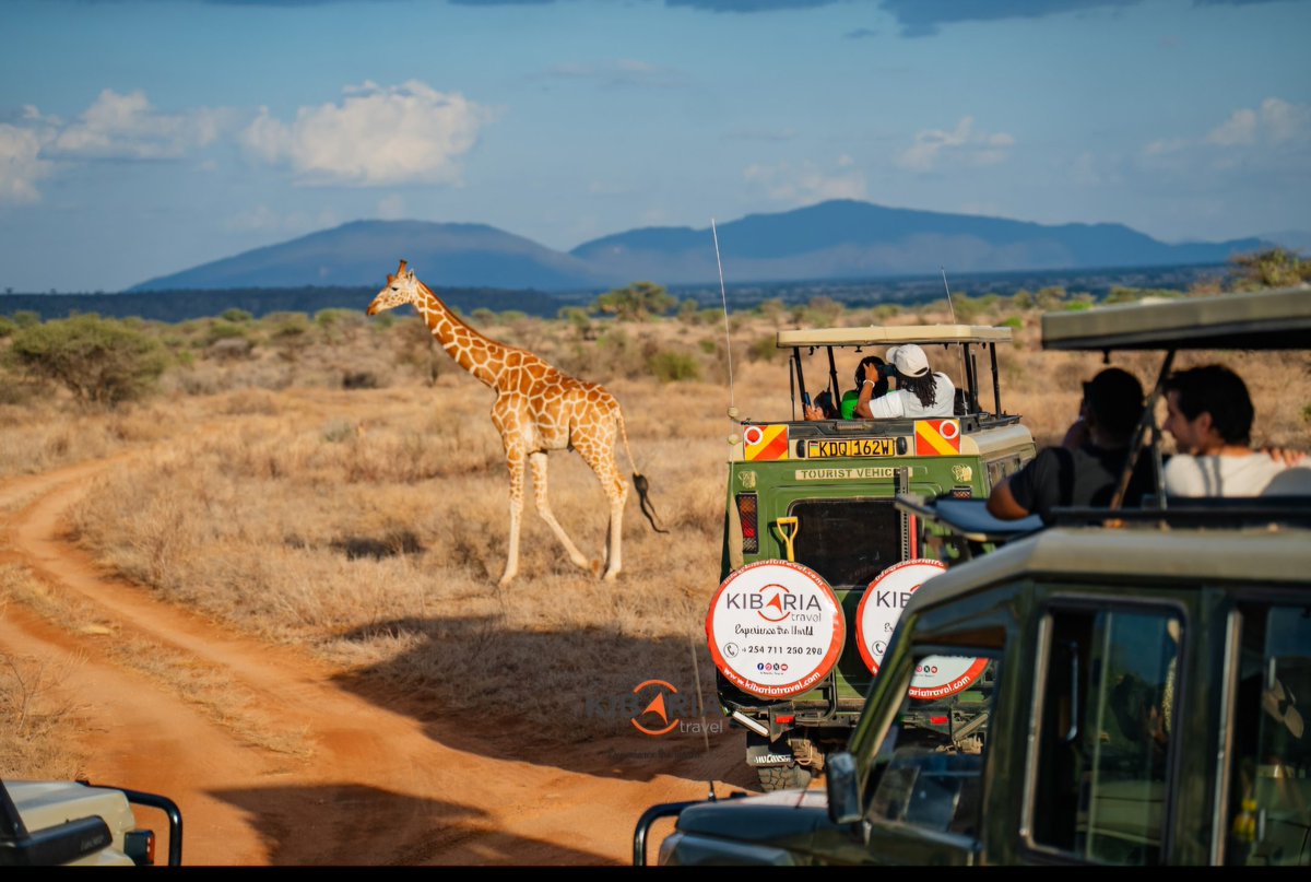 Whether you're exploring the wild, you need a weekend getaway or you just need to unwind in a day's trip.
Kibaria Travel is your best choice for experiencing the world.
Call us today on +254 799 66 66 11 or visit our offices in Westlands Muthithi Road Aly's Centre for bookings.