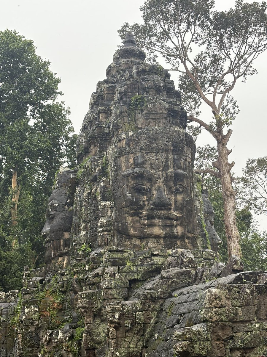 janewells's tweet photo. The rain kept the bugs and the tourists away. Yes! #AngkorWat #TaProhm }AngkorThom https://t.co/iDQsFNnzUI