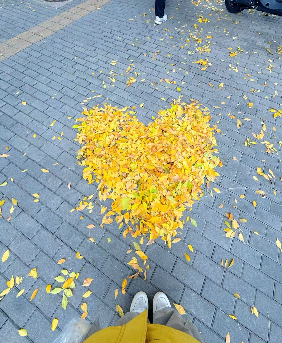 CocoStudio4's tweet image. Aujourd&apos;hui, c&apos;est le jour de #Lidong, le début de l&apos;hiver selon le calendrier traditionnel chinois.
En bas de chez moi, l&apos;automne est encore bien présent, avec ses couleurs chaleureuses, mais pour nous, les Chinois, l&apos;#hiver a déjà officiellement commencé.