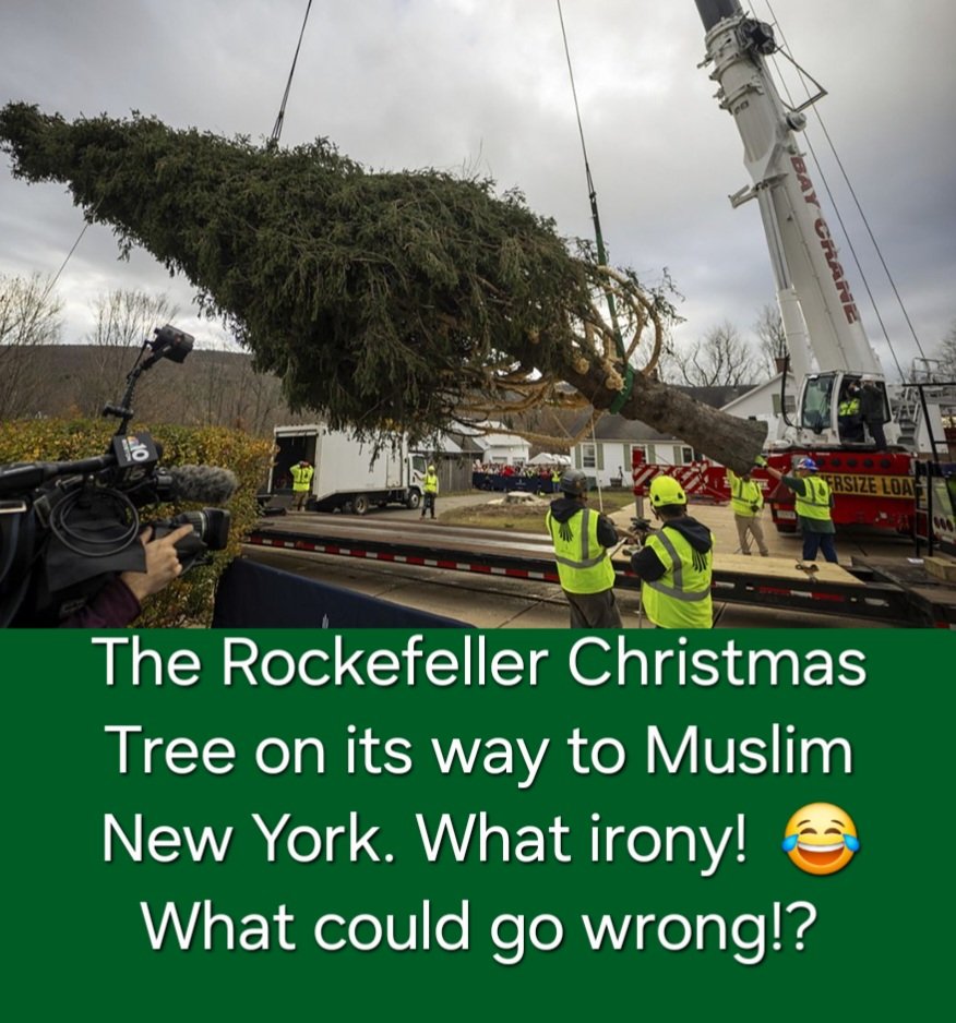 ApolloMemphis1's tweet image. 