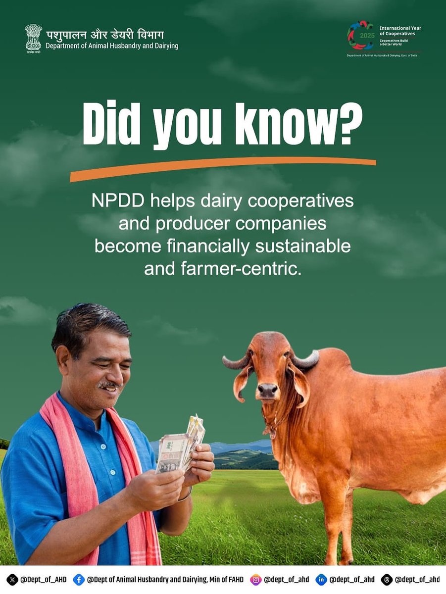 Dept_of_AHD's tweet photo. Empowering India’s Dairy Sector!
Under NPDD, dairy cooperatives and producer companies are becoming more efficient, self-reliant, and farmer-driven — ensuring sustainable income and growth for dairy farmers.
#NPDD #DairyCooperatives #FarmerEmpowerment #DAHDIndia #SustainableGrowth
