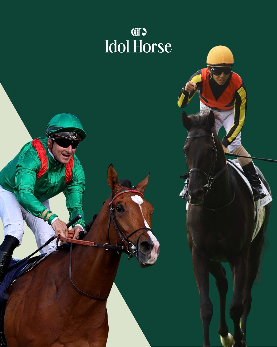 馬上杯 🇯🇵🇫🇷 日仏の精鋭がジャパンカップへ！ 今年の日本ダービー馬