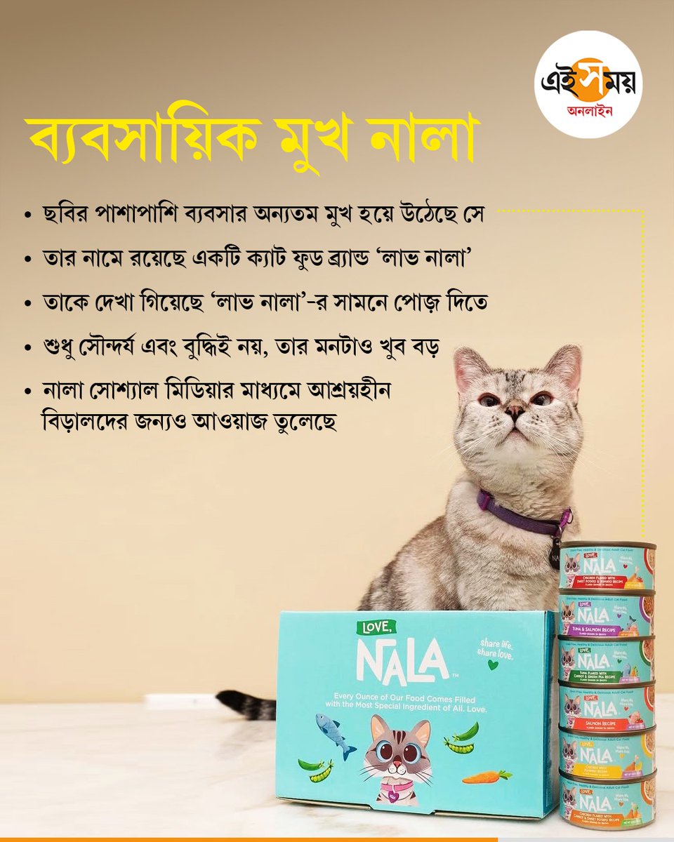 Ei_Samay's tweet photo. কত কোটির মালিক ছোট্ট চারপেয়ে জানেন?

#cat #nala_cat #guinessworldrecord #FamousCat #socialmediapopular #EiSamay #eisamayonline https://t.co/FOjpWoawYm