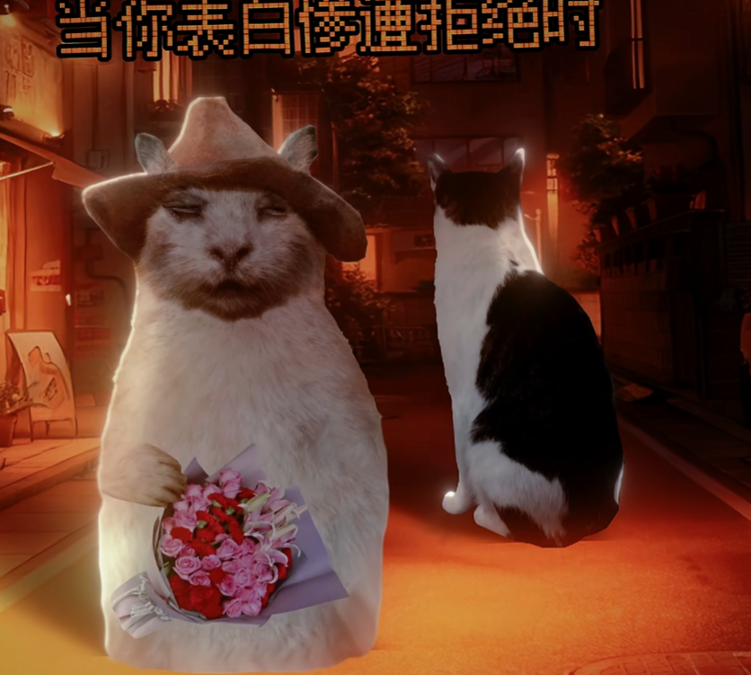 他们叫我天才 (@tc0dir) on Twitter photo 