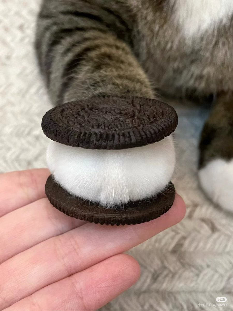 Oreo